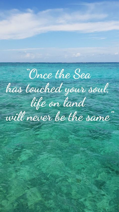 Snorkeling Tips, Ocean Quotes Inspirational, Underwater Film, Life On Land, Summer Beach Quotes, Sea Quotes, Mermaid Quotes, Ocean Quotes, I Love The Beach