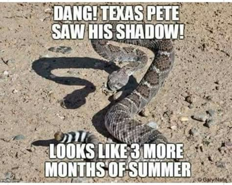 Texas Pete saw his shadow. Texas Pete, Texas Humor, Texas Strong, Only In Texas, Texas Weather, Republic Of Texas, Jokes To Tell, Texas Life, Texas Places