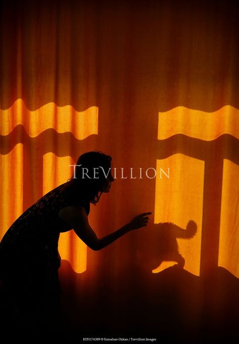 Woman by orange curtain with shadow of cat by Esmahan Ozkan © Trevillion Images. Orange Curtains, Stock Photos Woman, Hidden Images, Us Images, Stock Images, Curtains, Social Media, Stock Photos