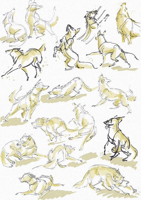 Wolf Sketches, Wolf Drawing Easy, Dog Sketches, Dog Reference, Wolf Poses, Dog Wolf, Wolf Sketch, Canine Drawing, Dog Anatomy