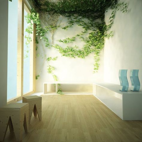 Plants Indoor Design, Indoor Climbing Plants, Wall Climbing Plants, Indoor Vines, Unusual Wall Art, Ivy Wall, Indoor Climbing, Garden Vines, Vine Wall