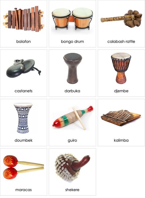 Preschool Social Studies, Bongo Drums, Musical Instruments, Musical, Google Search