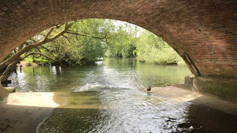 Showcasing the best images sent to us from around England. Under Bridge Aesthetic, Under A Bridge, Under Bridge, England Countryside, River Flowing, England Photography, Under The Bridge, Color Meanings, Story Board