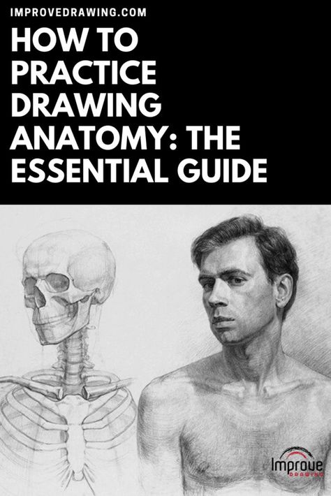 How To Practice Drawing Anatomy: The Essential Guide – Improve Drawing Anatomy Drawing Practice, Drawing Equipment, Best Art Books, Artistic Anatomy, Drawing Hacks, Improve Drawings, Hacking Books, Drawing Anatomy, Anatomy Practice