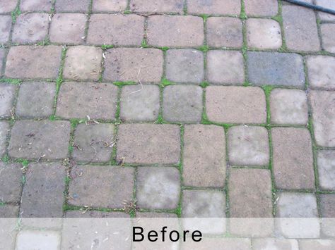 Should I seal my pavers | Do pavers have to be sealed | The ... How To Clean Pavers Patio, Paver Painting Ideas, Stained Pavers, Painted Pavers Ideas, Paint Pavers, Mountain Home Floor Plans, Sealing Pavers, Paver Sidewalk, Patio Redo