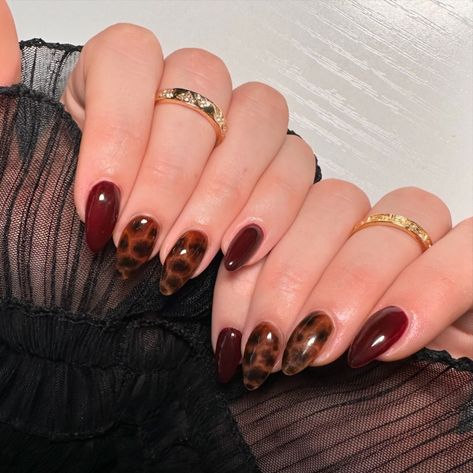 A tortoise fall🤎 #nails #nailart #naildesigns #nailsofinstagram #nailsnailsnails #nailsmagazine #nailsonfleek #nailstyle #nailtrends #nailartist #nailinspo #fallnails #fall #tortoisenails Fun Tortoise Nails, Tortishell And Red Nails Design, Tortoise Shell And Burgundy Nails, Dark Red Tortoise Shell Nails, Short Square Tortoise Nails, Tortice Nails, Tortoise Nails With Red, Tortoise Shell And Red Nails, Red Nails With Cheetah Print