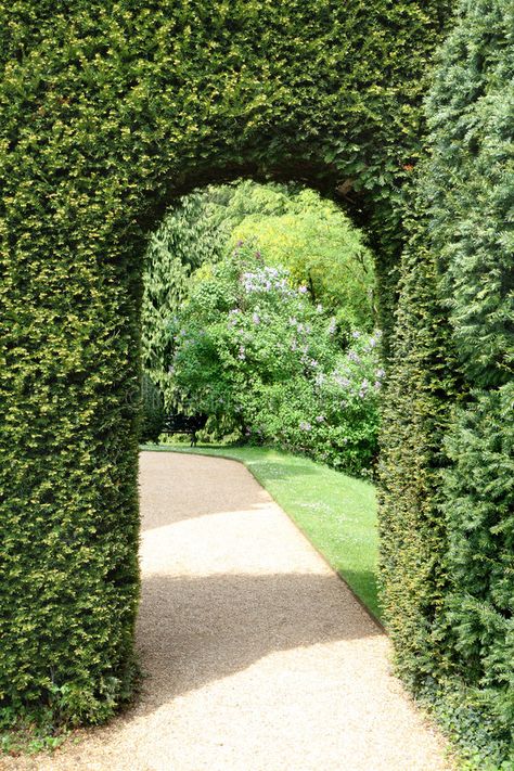 View of an English Manor Garden. Viewed through a hedged archway , #AFFILIATE, #Manor, #English, #View, #Garden, #archway #ad Garden Archway, Garden Hedges, Manor Garden, Formal Garden, Side Garden, Garden Park, Formal Gardens, Garden Pathway, Garden Landscape Design