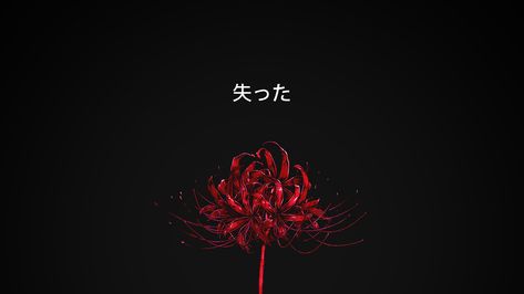 red spider lily and japan text Spider Lily Anime Wallpaper, Tokyo Ghoul Flower, Japan Text, Red And Black Spider, Touka Wallpaper, Red And White Wallpaper, Anime Flower, Lily Wallpaper, Red Spider Lily