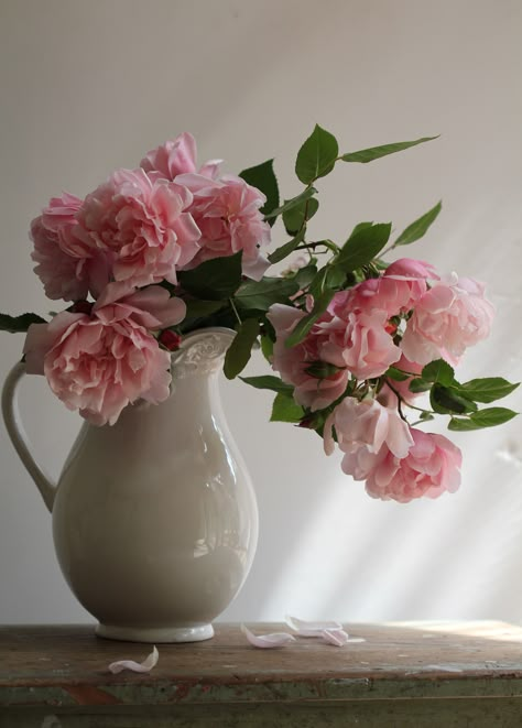 Albertine Pink Rose Rose Still Life, Plant Still Life, Roses Still Life, Flower Vase Reference, Roses Vase, Vase Of Flowers Photography, Flowers Still Life Photography, Roses In Vase, Flower Vase Reference Photo