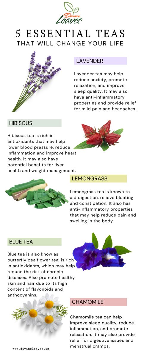 herbal tea, flower tea, lavender tea, hibiscus tea, chamomile tea, blue tea, lemongrass tea Benefits Of Lemongrass Tea, Tea Add Ins, Herb Tea Recipes, Lemon Grass Tea Benefits, Lavender Tea Benefits, Herbs For Tea, Herbal Tea Recipes, Elderflower Tea, Tea Blends Recipes