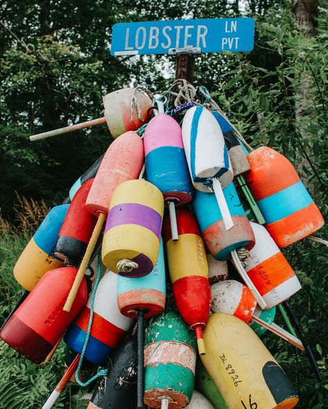 My new favorite street😍🦞 . . . . . #visitmaine #maine #newengland #newenglandsummer #lobster #lobsterbuoys #lobsterlane #lobsterlover #canon #canonphotography Stonington Maine, Lobster Buoys, Visit Maine, Maine Lobster, Canon Photography, New England, Canon, Nautical, Maine