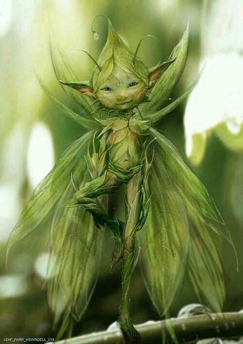 sprite Elves And Fairies, Green Fairy, 3d Street Art, Fairies Elves, Fairy Magic, Mystical Creatures, Arte Fantasy, 판타지 아트, Fairy Art