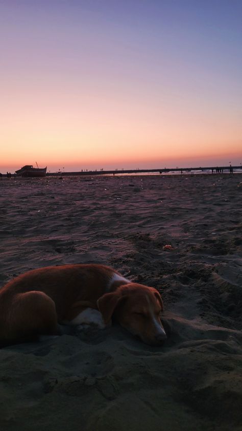 Goa Asthetic Picture, Beach Puppy, Mumbai Trip, Beach Post, Moments Quotes, Snap Streak Ideas Easy, Better Man, Sky Photography Nature, Travel Pictures Poses