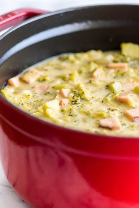 Sharp Cheddar Broccoli and Ham Chowder Broccoli Soup Crockpot, Broccoli Chowder, Victoria Sponge Cupcakes, Sponge Cupcakes, Ham Chowder, Ham Soup Recipes, Cheddar Broccoli, Cream Sauce For Chicken, Homemade Ham