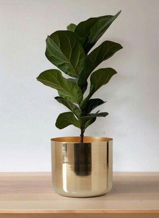 Gold Planter With Stand, Plants In Gold Pots, Green And Gold Spa Decor, Mid Century Plant Pot, Ideas To Decorate Your Garden, Gold Accessories Living Room, Gold Accents Bathroom, Purple Apartment, Lounge 2023