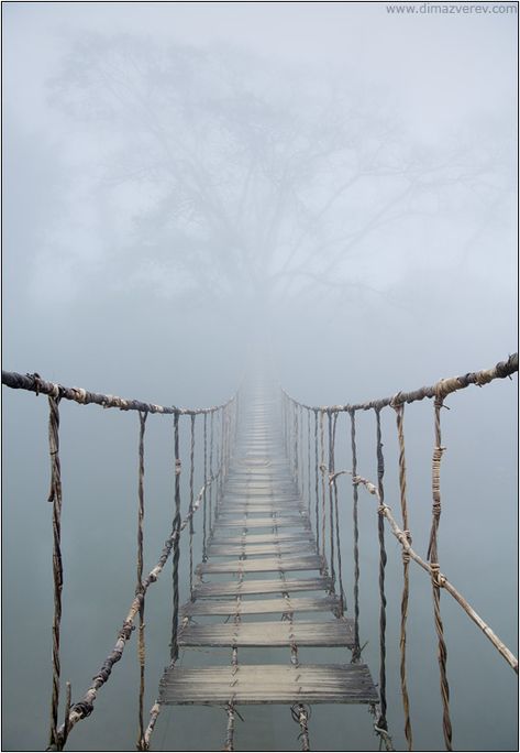 find a creepy bridge to walk across... check. walk this Vietnam rope bridge & live... consider it on my list Rope Bridge, Wooden Bridge, Land Art, Abandoned Places, Oman, Maldives, Laos, Mist, Places To Go