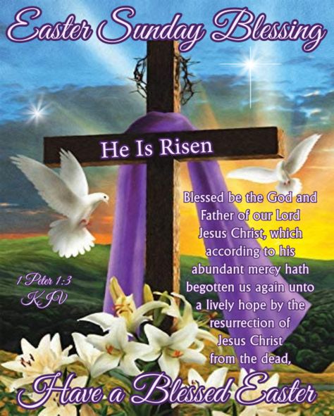 Easter Sunday Images, Easter Sunrise, Happy Easter Quotes, Easter Prayers, Happy Easter Sunday, Sunday Images, Resurrection Day, Easter Messages, Happy Easter Wishes