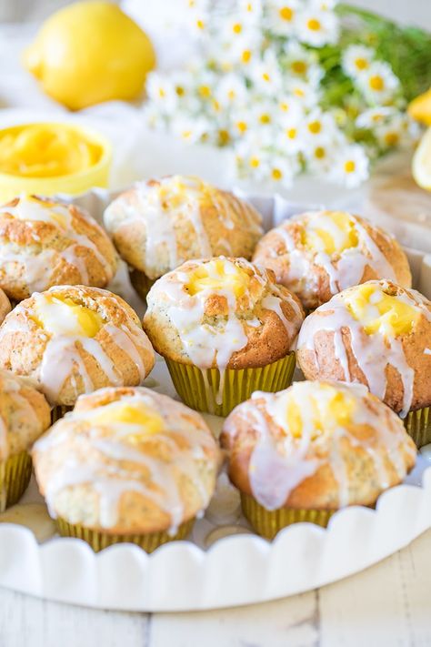 Lemon Poppy Seed Muffins with Lemon Curd Filling Lemon Poppy Seed Muffins, Lemon Seeds, Curd Filling, Seed Muffins, Lemon Health Benefits, Lemon Curd Filling, Poppy Seed Muffins, Lemon Poppyseed Muffins, Lemon Benefits