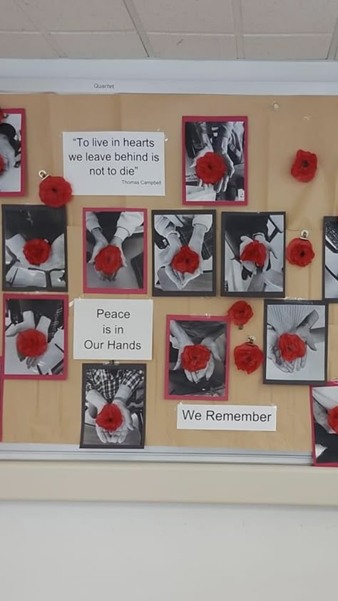 Poppy Flower Activity For Kids, Grade 6 Remembrance Day Art, Remberance Day Crafts For Toddlers, Poppy Display School, Poppy Veterans Day Craft, Rememberence Day Activities, Rememberance Activities For Children, Poppy Ideas For Kids, Remembrance Day Posters Ideas