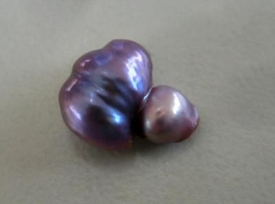 Natural Purple Pearl Purple Time, Anne Morrow Lindbergh, Beautiful Shells, Sea Of Cortez, Iridescent Pearl, She Sells Seashells, Loose Pearls, Purple Jewelry, Purple Pearl