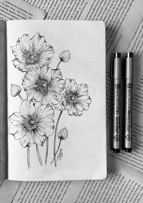 Rapid Art Drawing Aesthetic, Pen Sketch Flower, Botanical Pencil Sketches, Pen Flowers Drawing, Flower Drawing With Pen, Pen Drawn Flowers, Floral Pen Art, Pot Of Flowers Drawing, Pen Drawings Flowers