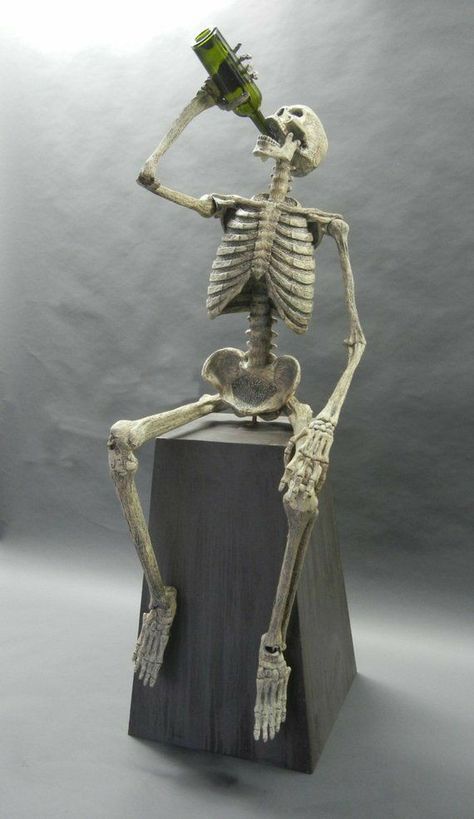 Skeleton Pics, Halloween Trophies, Silly Skeleton, Animated Halloween Props, Skull Reference, Animated Halloween, Skeleton Anatomy, Halloween Outside, Skeleton Drawings