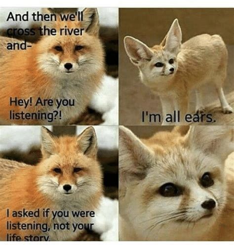 Funny Fox Pictures, Fennec Fox Pet, Fox Memes, Unique Pets, Fox Pictures, Animal Puns, Fennec Fox, Pet Fox, Silly Animals