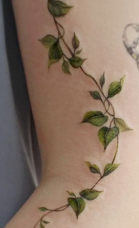 Ivy Back Tattoo, Chakra Colours, Ivy Tattoo, Green Tattoos, Vine Tattoo, Koi Tattoo, Intricate Tattoo, Vine Tattoos, Ornamental Tattoo