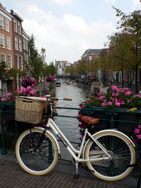 Traci's Travels: a bicycle chained up next to a canal, Leiden, Holland, September 2014. Bike Amsterdam, Amsterdam Bicycle, Amsterdam Bike, Bike Tattoos, Amsterdam Canals, Vintage Vehicles, Bicycle Chain, Vintage Cars, Holland