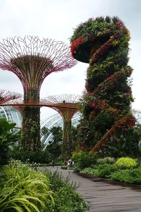 Singapore Gardens By The Bay, Futuristic Garden, Gardens By The Bay Singapore, Singapore Garden, Garden Paradise, Minimalist House, Minimalist House Design, Gardens By The Bay, Forest Landscape