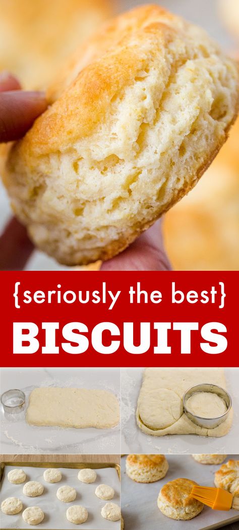 how to make biscuits Fluffy Homemade Biscuits, Best Biscuit Recipe, Easy Homemade Biscuits, Best Biscuits, Easy Biscuit, Homemade Biscuits Recipe, Easy Biscuit Recipe, Homemade Bread Recipes Easy, Biscuits Easy