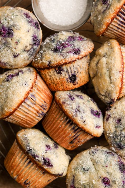 Blueberry Muffins | Sturbridge Bakery Elderberry Muffins, Sturbridge Bakery, Blue Bakery, Bakery Style Blueberry Muffins, Cultured Buttermilk, Fluffy Texture, Wild Blueberries, Blueberry Muffins, Muffin Tin