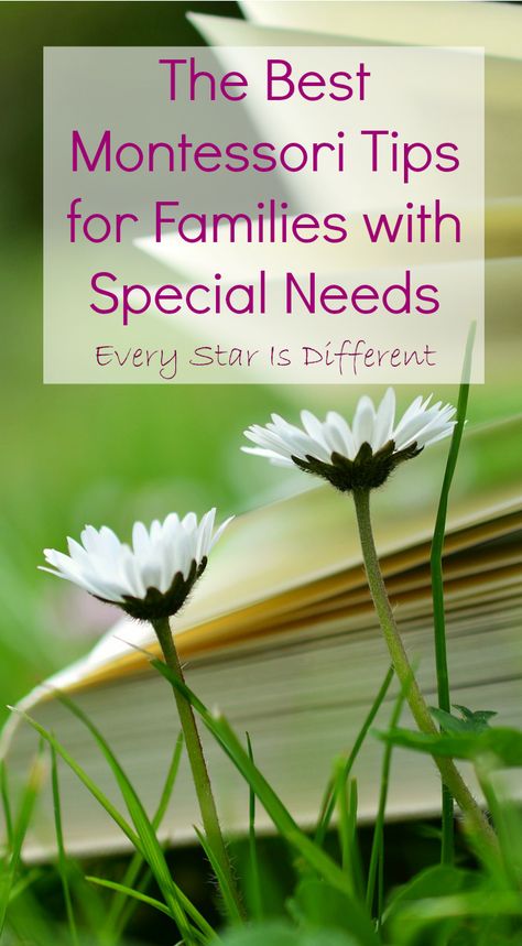 Unschooling Special Needs, Montessori Special Needs, Montessori Tips, Attachment Disorder, Emotional Activities, Life Skills Curriculum, Montessori Method, Caregiver Resources, Social Emotional Activities