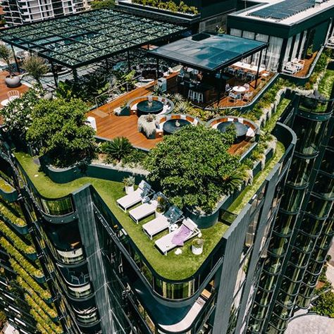 As our cities densify, the provision of rooftop amenity is becoming increasingly important to urban life in Australian cities. The rooftop at #oxleyandstirling landscaped by @martinbrothers_landscaping , developed by @ariapropertygroup and designed by @elenberg_fraser is one benchmark example! The rooftop project features a vine-covered pergola, lap and plunge pool, alfresco dining and panoramic views of Brisbane river and CBD. Check out the link in our bio for a recently featured article in Que Australian Cities, Rooftop Garden Urban, Rooftop Garden Ideas, Wall Green, Brisbane River, Roof Tops, Rooftop Gardens, Roof Gardens, Rooftop Design