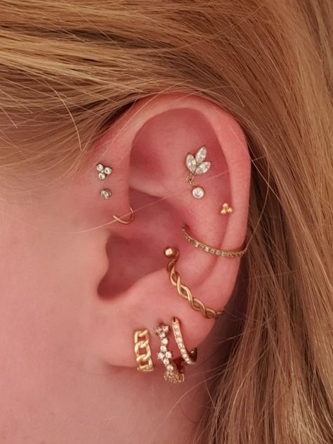 Piercings, double conch, tripple forward Helix, flat, helix, lobe, Gold jewelery Forward Helix And Conch Piercing, Ear Piercing Inspiration, Curated Ear Piercing, Double Forward Helix Piercing, Double Conch, Piercing Lobe, Piercing Collection, Piercing Inspiration, Flat Piercing