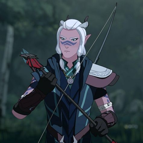 The Dragon Prince: Runaan The Dragon Prince Characters, The Dragon Prince Elves, Runaan The Dragon Prince, Dragon Prince Runaan, The Dragon Prince Ezran, Rayla Tdp, Dragon Price, Prince Dragon, The Dragon Prince