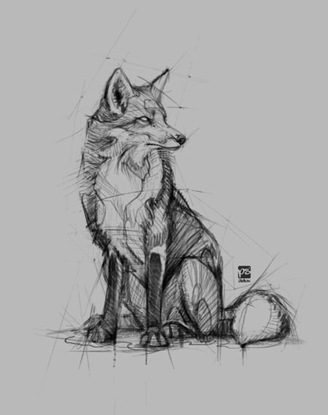 Fox Sketch, Fox Sitting, Pencil Drawings Of Animals, Fox Drawing, Couple Drawing, Animal Drawings Sketches, Draw Eyes, Drawing Eyes, Fox Illustration