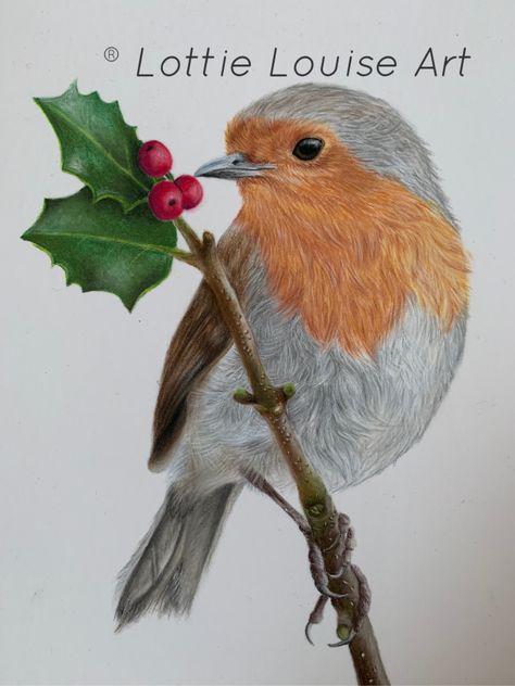 Robin drawn using pastel pencils on pastelmat paper.  #robin #drawing #robindrawing #pastels #pastelpencils #pastelpainting #art #realism #realisticart Robin Drawing, A Robin, Art Realism, Pastel Pencils, Realistic Art, Pastel Drawing, Pastel Painting, Xmas Cards, Christmas Art