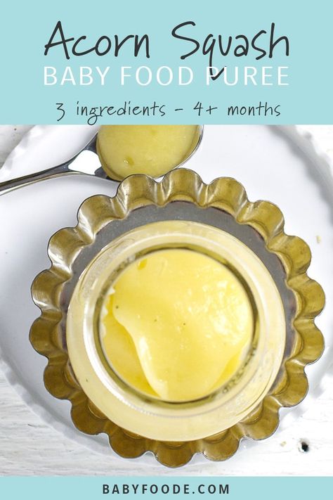 Acorn Squash + Ginger Puree Baby Food (4+ Months) - Baby Foode Baby Food 4 Months, Infant Meals, Ginger Baby, Easy Homemade Baby Food, Baby Food Puree, Puree Recipes, Children Food, Roasted Acorn Squash, Ginger Babies