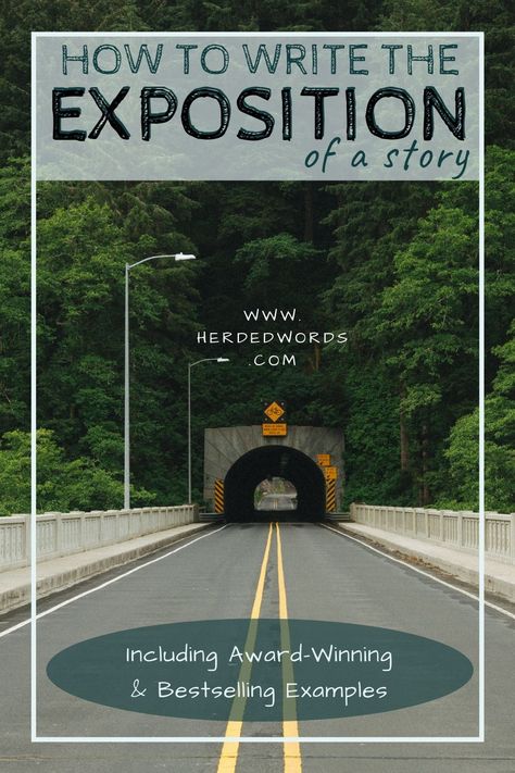 The exposition section of your novel occurs at the beginning up until your inciting incident. Get 5 tips to help you master exposition, see exposition analysis' of bestselling & award-winning modern fiction, and get exercises & prompts so aspiring authors can practice writing fiction. Click to get started writing your exposition today! Plot Tips, Plot Writing, Inciting Incident, Lucy Calkins Writing, Novel Writing Inspiration, Plotting A Novel, Genre Of Books, Writing Fiction, Writing Plot