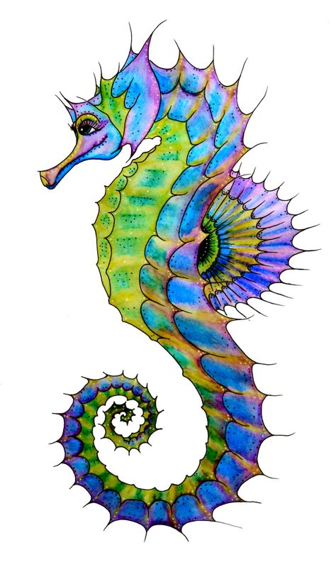 Starfish Painting | Clipart Panda - Free Clipart Images Seahorse Painting, Starfish Painting, Seahorse Tattoo, Seahorse Art, Free Clipart Images, Sea Horse, Sea Art, Arte Animal, Art Clipart