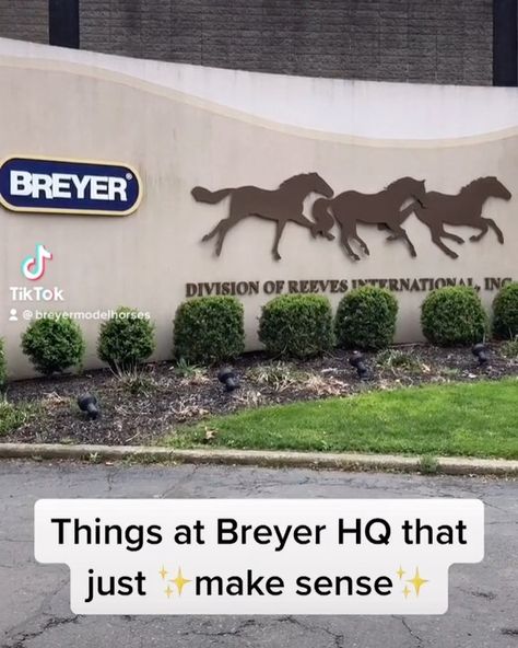 Breyer Horse Crafts, Breyer Horse Display, Breyer Horses For Sale, Schleich Horses, Bryer Horses, Horse Coats, Breyer Horse, Horse Crafts, Horse Accessories