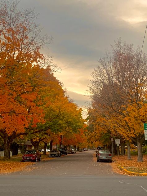 #montana #fall #aesthetic #leaves #trees #halloween #pretty Fall Aesthetic Leaves, Romanticizing Fall, Montana Fall, Tis Autumn, Cozy Aesthetics, Aesthetic Leaves, Ugg Season, Fall Foilage, Fall Szn