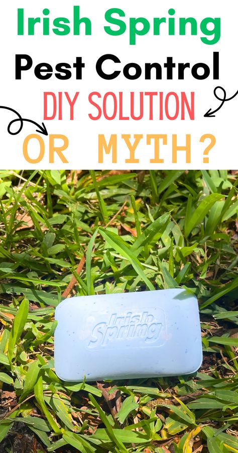 Can you use Iring Spring Soap to get rid of pests? Find the facts and myths here! #pestcontrolspiders##pests#pestrellent#householdhacks#clean#garden#householdtips Irish Spring Soap Hacks, Irish Spring Soap In Garden, Irish Spring Soap Uses, Mosquito Deterrent, Get Rid Of Ticks, Irish Spring Soap, Mosquito Repellent Homemade, Spring Soap, Facts And Myths