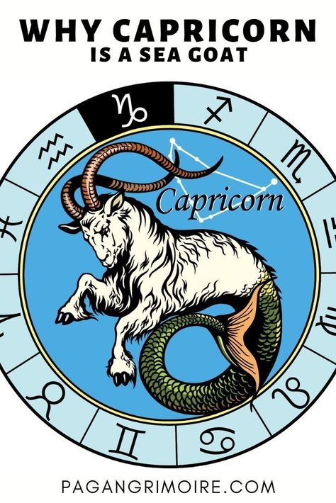 The Capricorn symbol (or glyph) is that of the Sea Goat. For the 10th astrological zodiac sign it the hoof of the mountain goat and the tail of the fish. #capricorn #zodiac #astrology #seagoat Sea Goat, Zodiac Sign, Bar