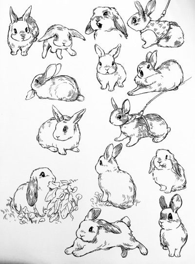 Rabbit Art Illustration, Hase Tattoos, Bunny Drawings, Bunny Sketch, Bev Johnson, Bunny Sketches, Bunny Tattoo, Rabbit Drawing, Bunny Tattoos