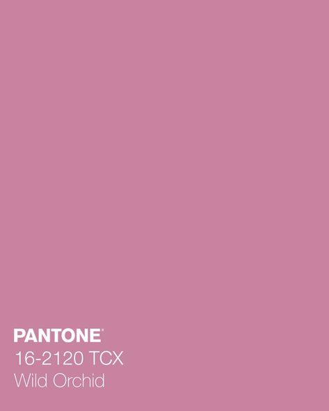 Orchid Pink Color, Bridesmaid Color Palette, Pantone Colour Palettes, Orchid Color, Bridesmaid Colors, Pantone Colors, Surfboard Design, Wild Orchid, Pink Orchids