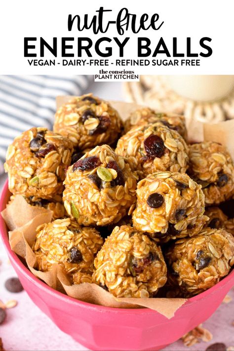 Gluten Free And Nut Free Snacks, Nut Free Preschool Snacks, Gluten Free Nut Free Protein Balls, Energy Balls No Nuts Protein Bites, Nut Free Oatmeal Energy Balls, Protein Balls No Nut Butter, Peanut Free Energy Balls For Kids, But Free Energy Balls, No Nut Recipes