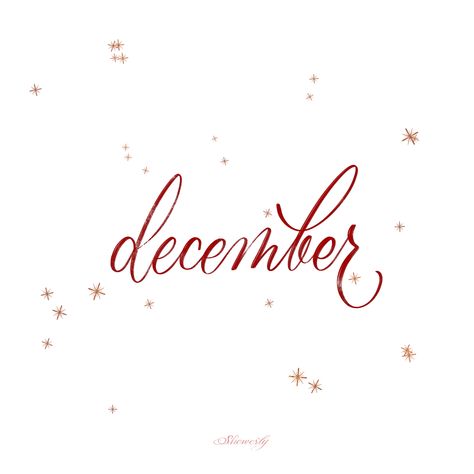 December Calligraphy, December Word, Cursive Penmanship, Holiday Iphone Wallpaper, Welcome December, Monthly Quotes, Types Of Journals, Ipad Procreate, Christmas Spices