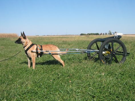 dog cart | And the harness I'm using right now is a basic padded harness: Dog Pulling Harness, Dog Treadmill, Huskies Sled, Boxer Breed, Dog Cart, Service Dogs Gear, Hot Dog Cart, House Planning, Pull Cart